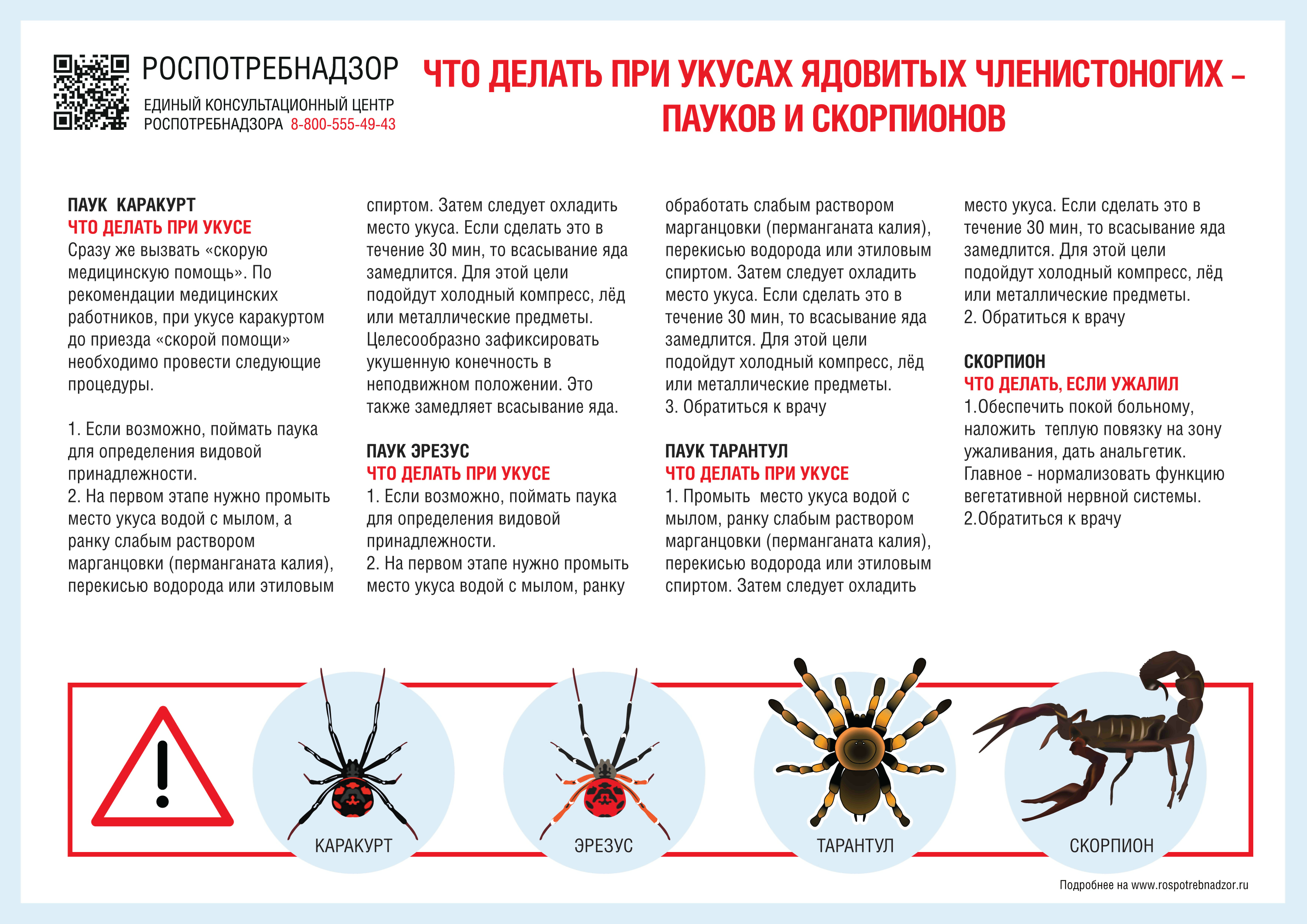 Информация Федеральной службы по надзору в сфере защиты прав потребителей и  благополучия человека от 17 сентября 2021 г. 