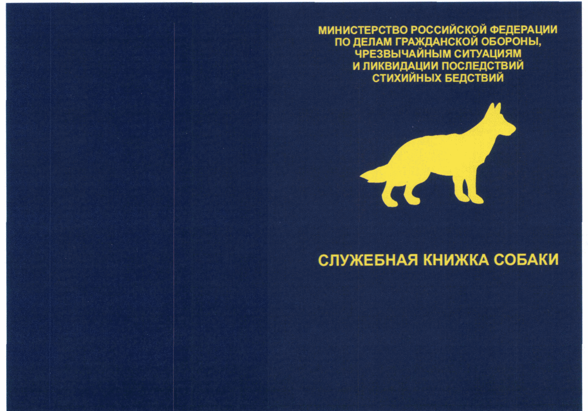 Приказ МЧС России от 7 ноября 2019 г. № 656 