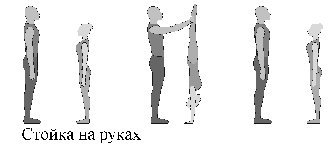 Виды стоек. Стойка на руке референсы. Позы стойки на руках в референсы. Стойка согнувшись. Стойка на голове силой согнувшись.