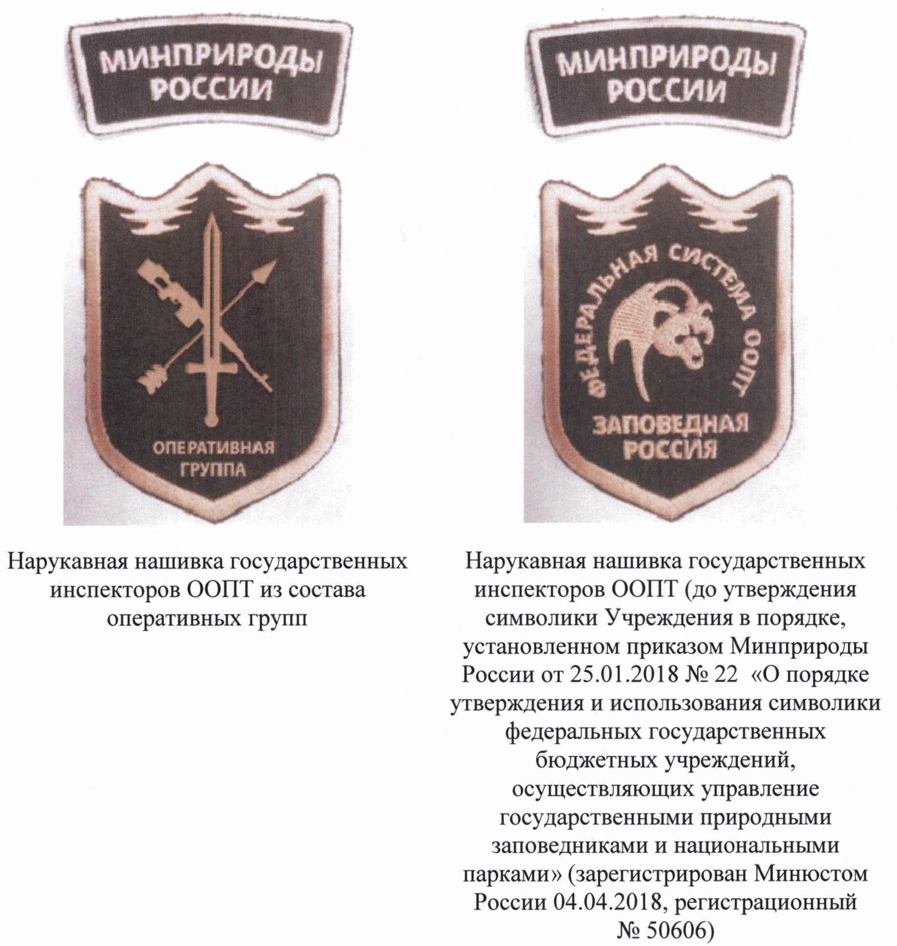 Приказ Министерства природных ресурсов и экологии РФ от 26 января 2022 г. №  44 