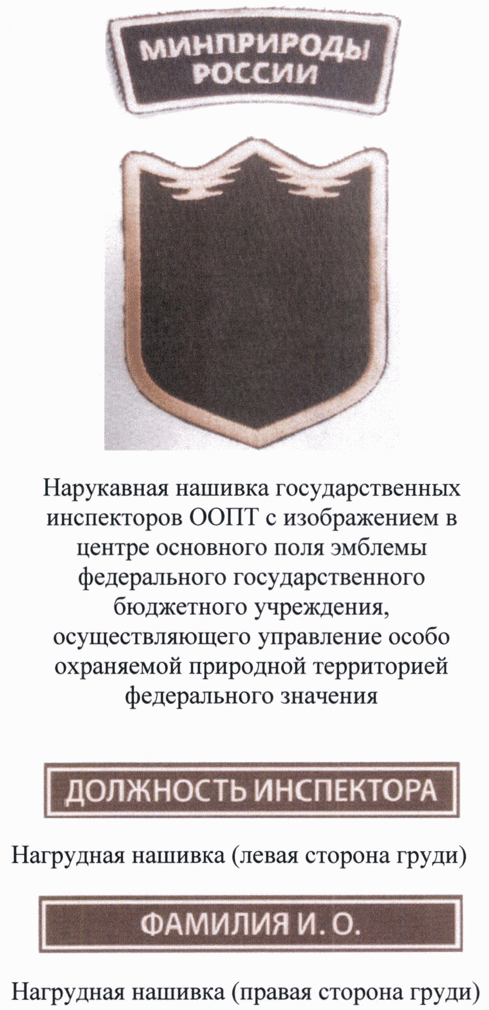 Приказ Министерства природных ресурсов и экологии РФ от 26 января 2022 г. №  44 