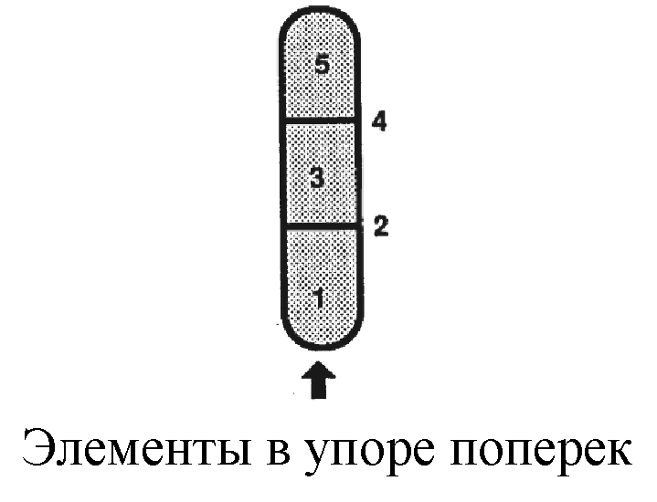 Комплекс эффективных упражнений на шведской стенке