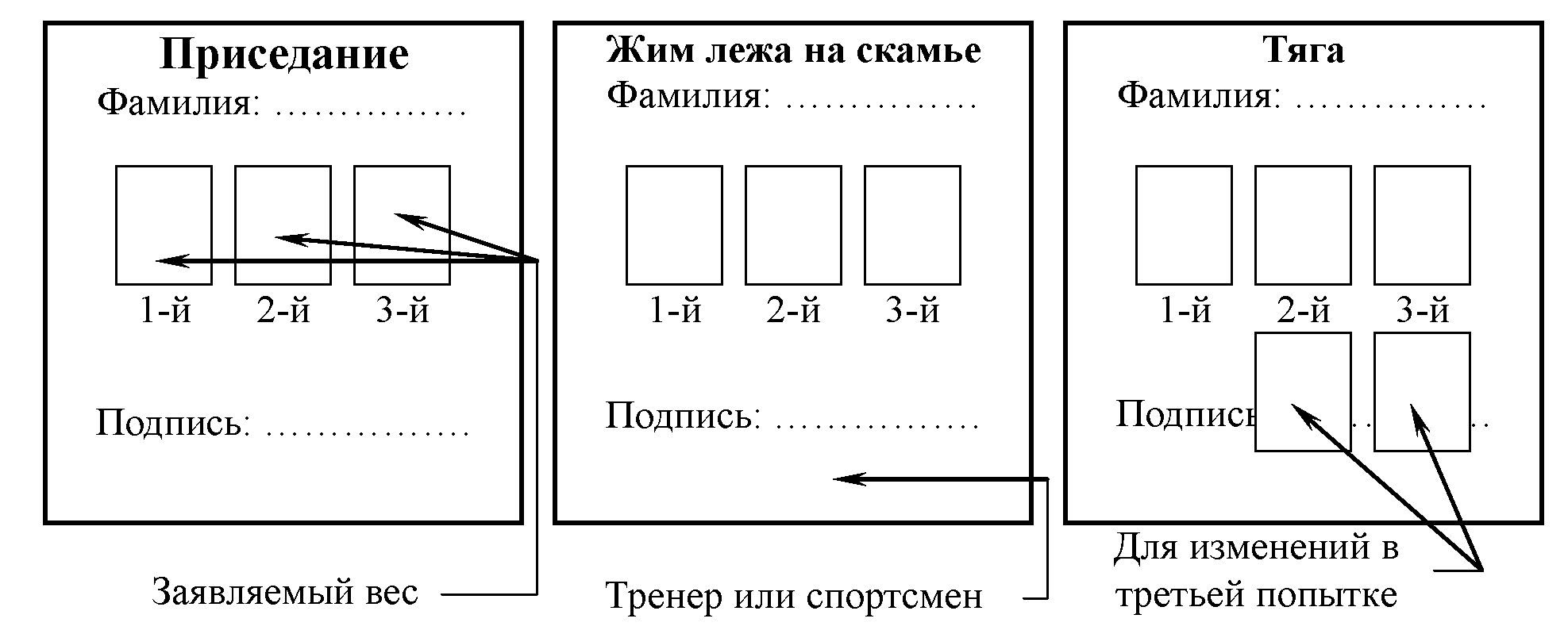 Правила вида спорта 