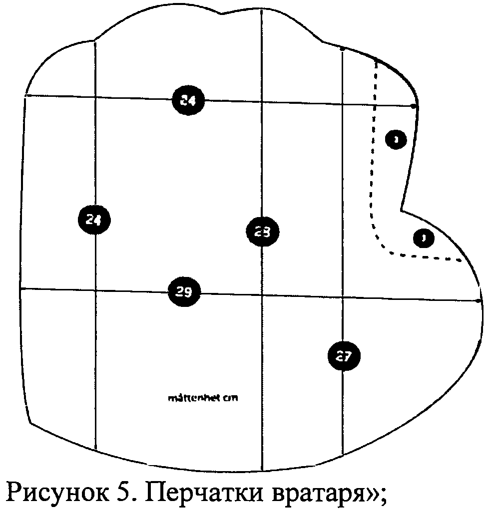 Приказ Министерства спорта РФ от 8 ноября 2017 г. N 976 