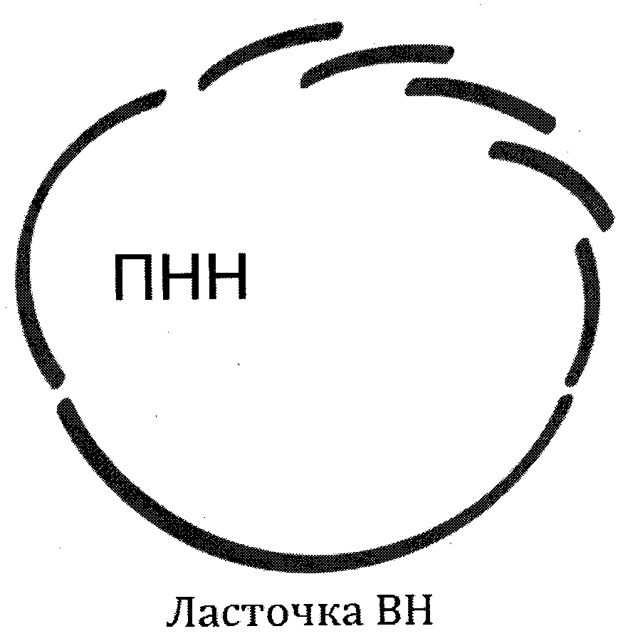 Приказ Министерства спорта РФ от 14 декабря 2022 г. № 1216 