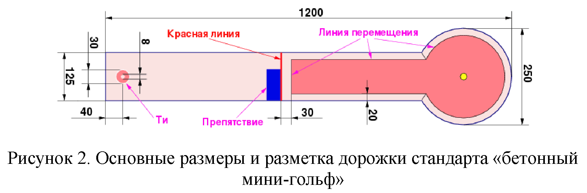 Правила вида спорта 