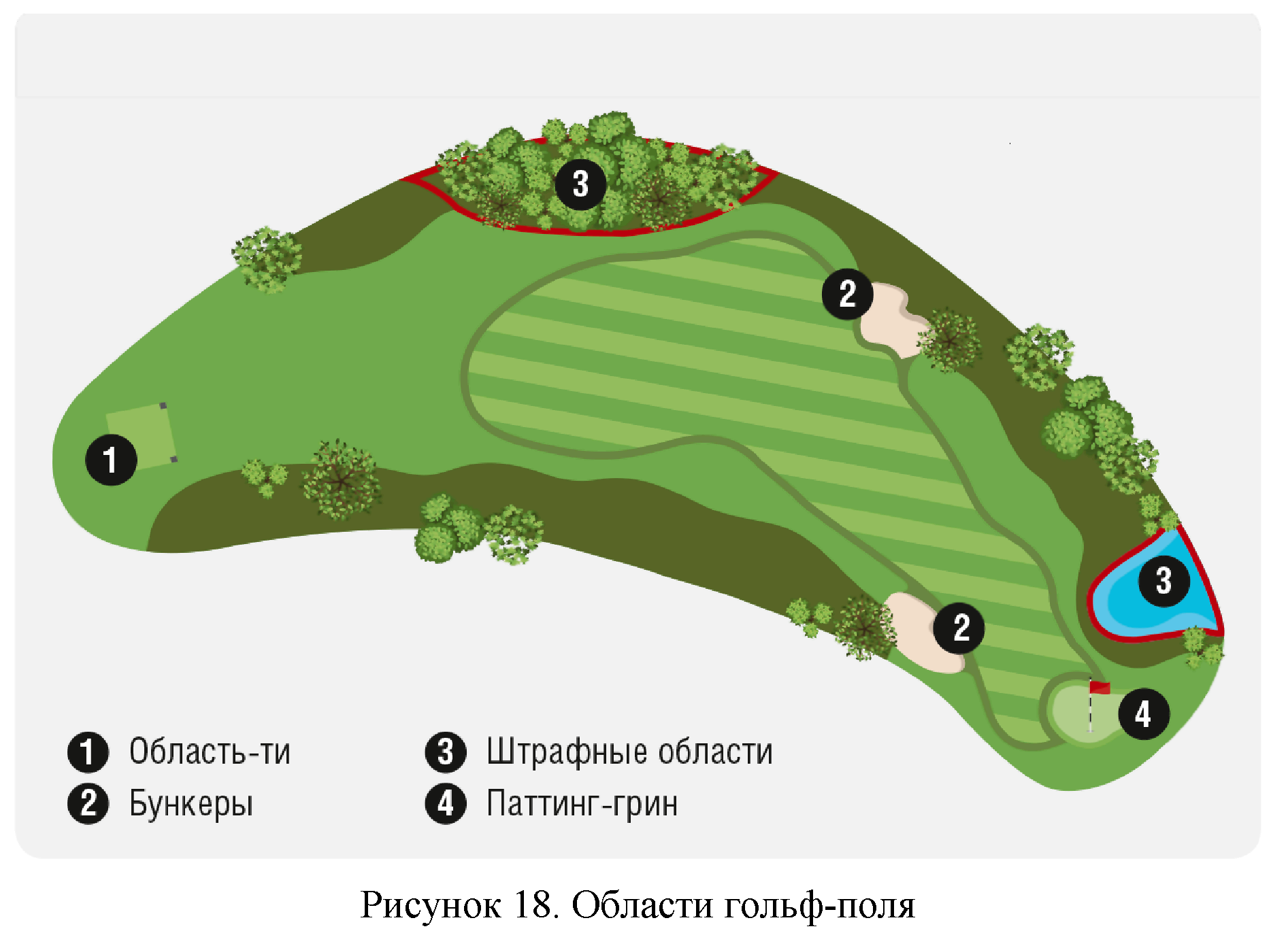 Правила вида спорта 