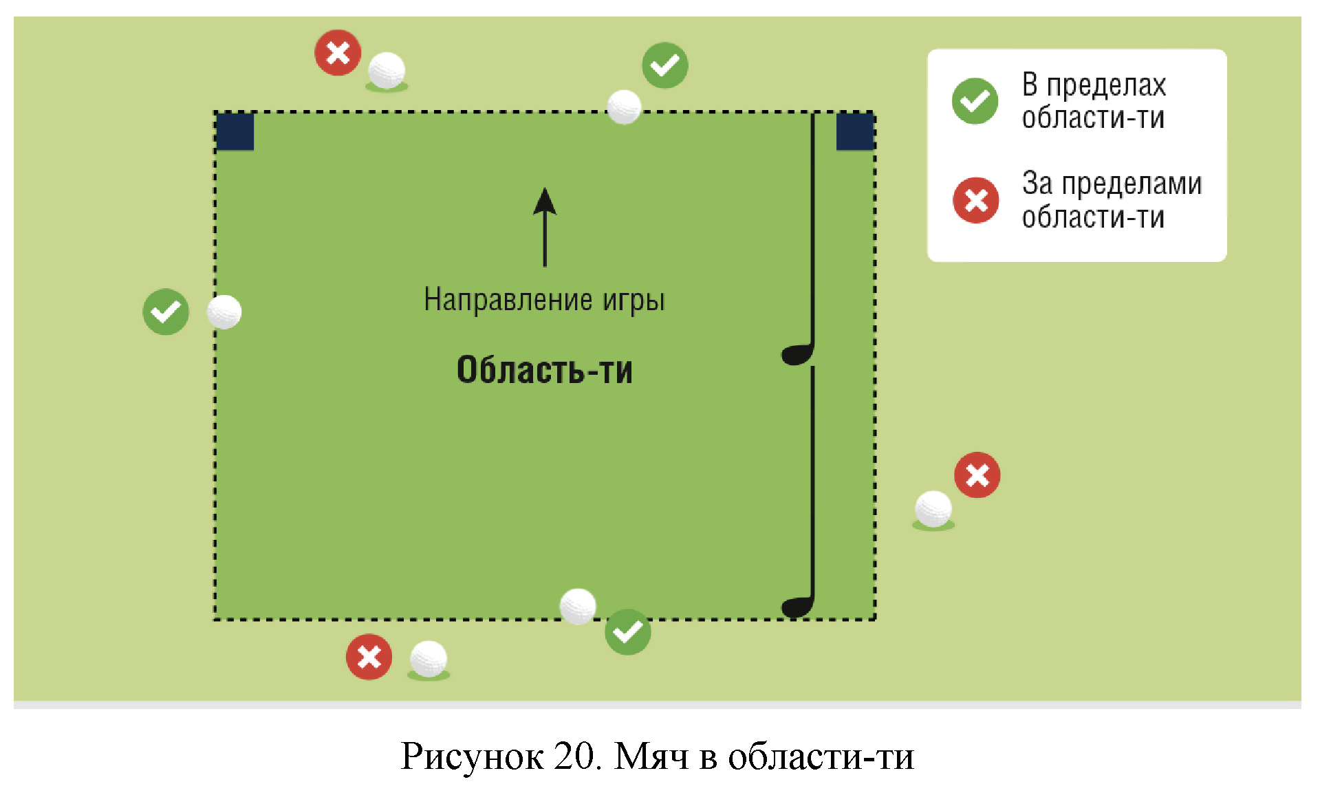 Правила вида спорта 