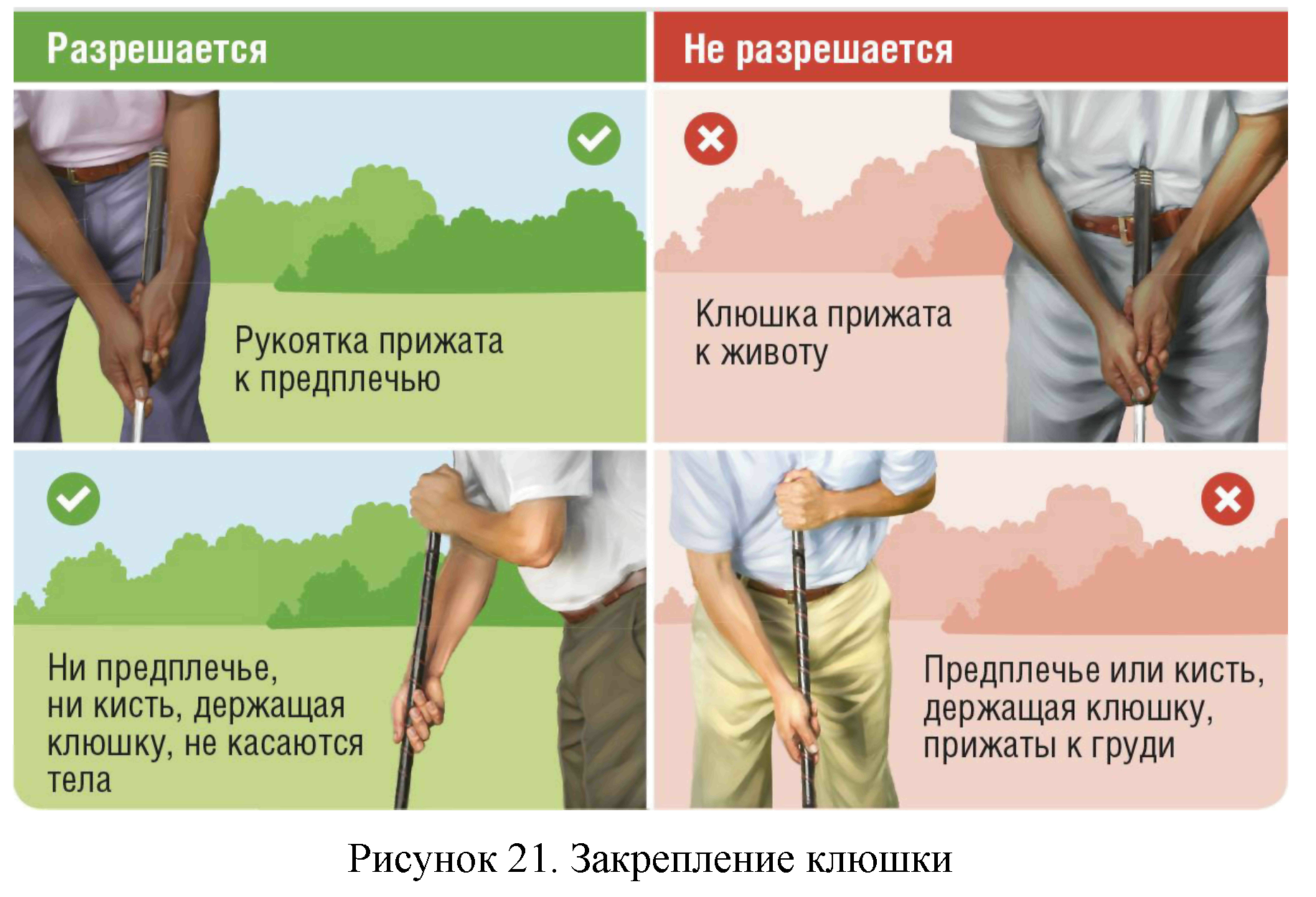 Правила вида спорта 