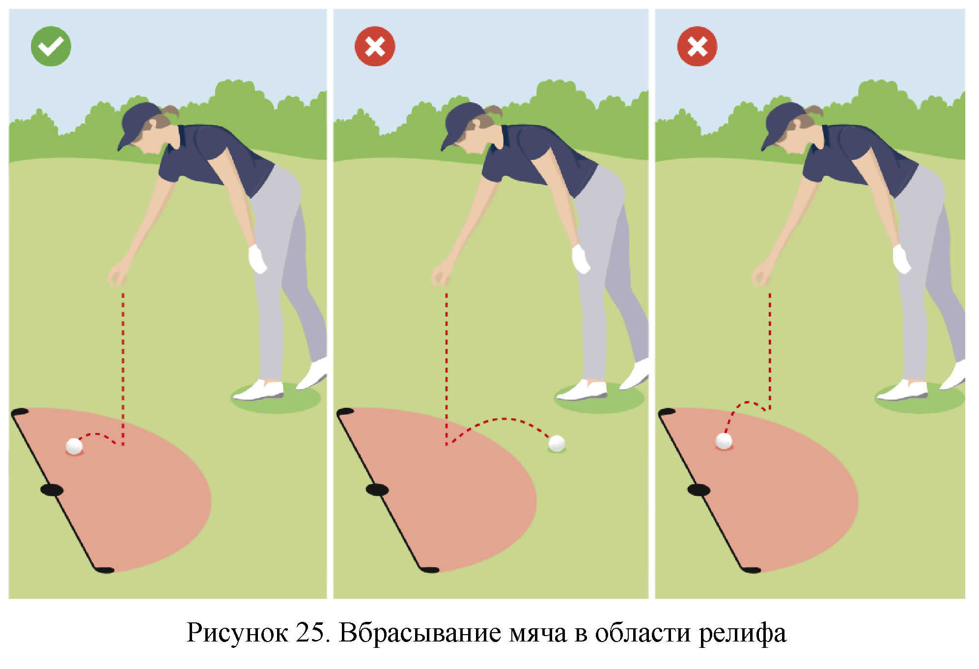 Правила вида спорта 