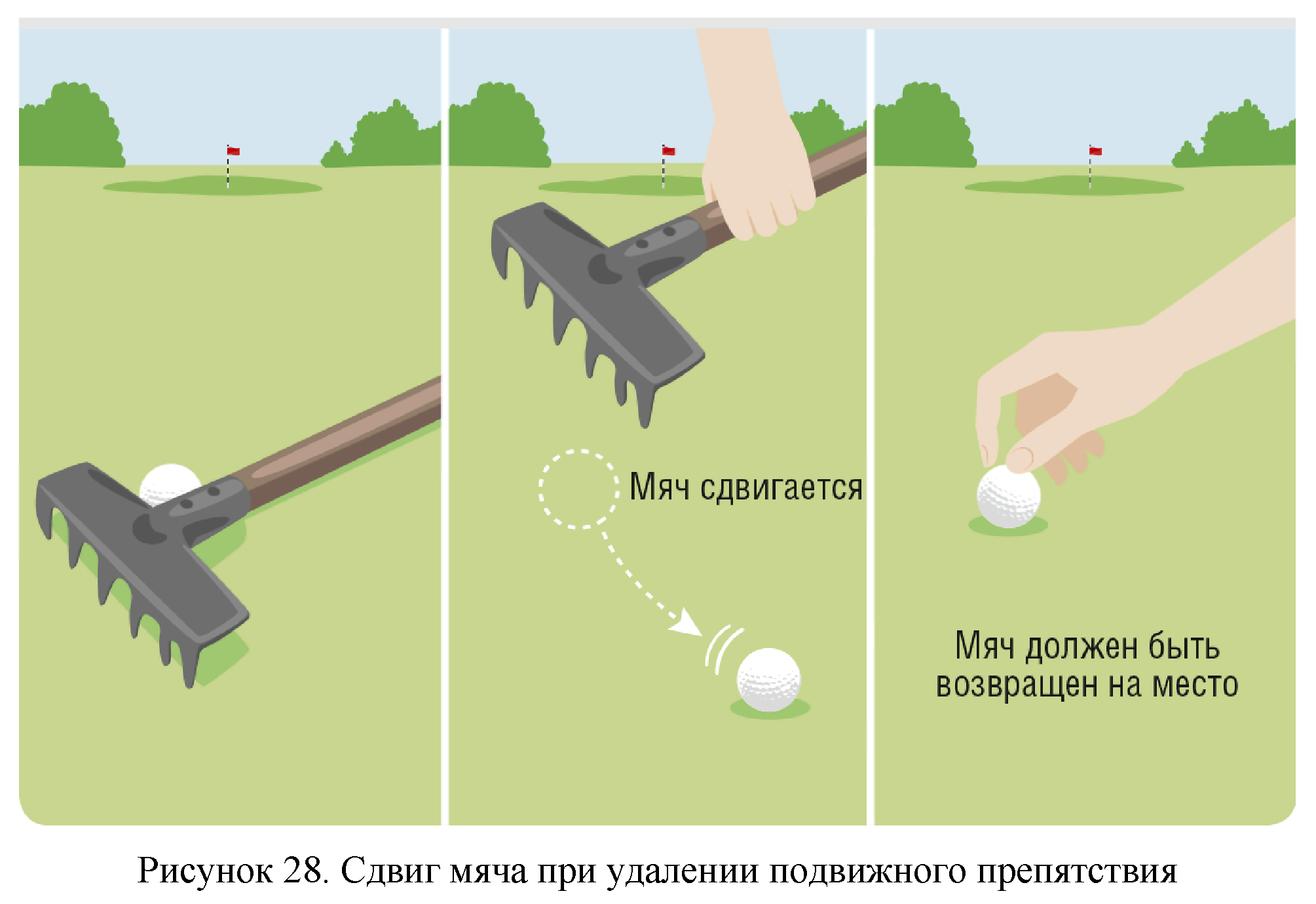 Правила вида спорта 