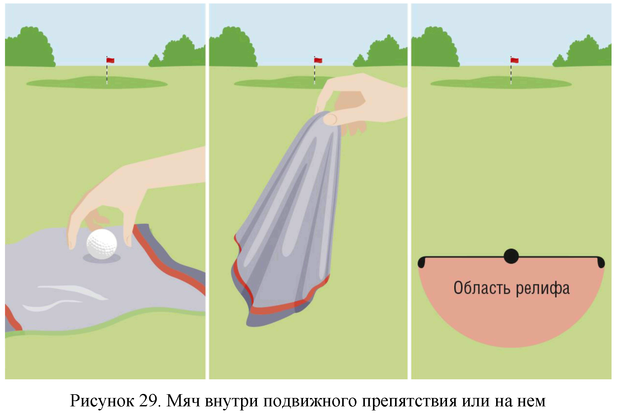 Правила вида спорта 