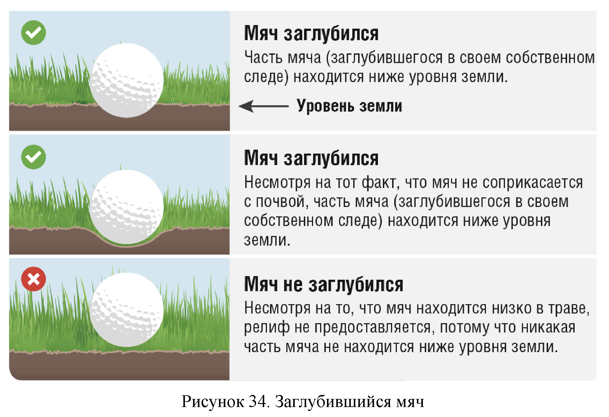 Правила вида спорта 