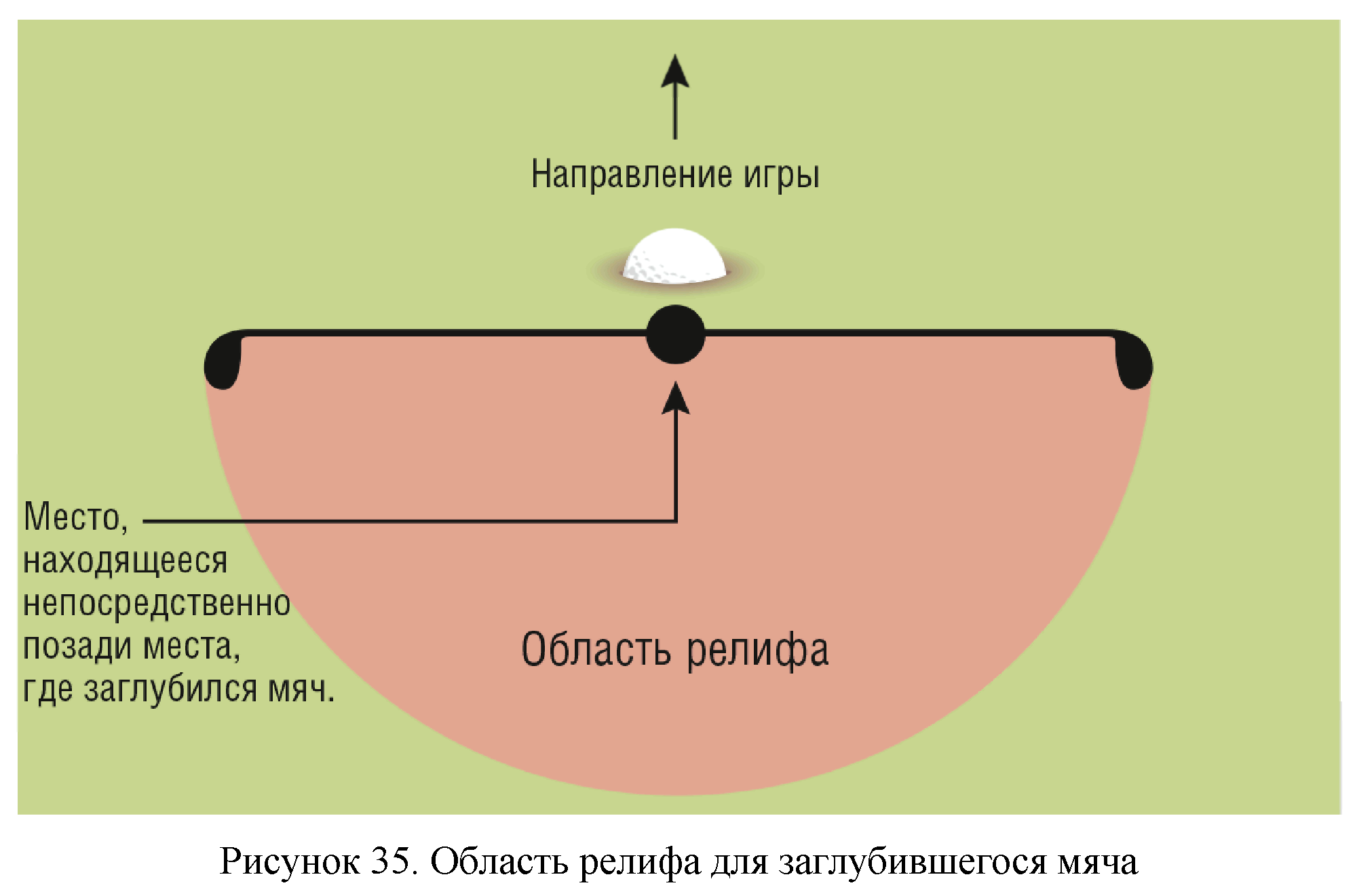 Правила вида спорта 