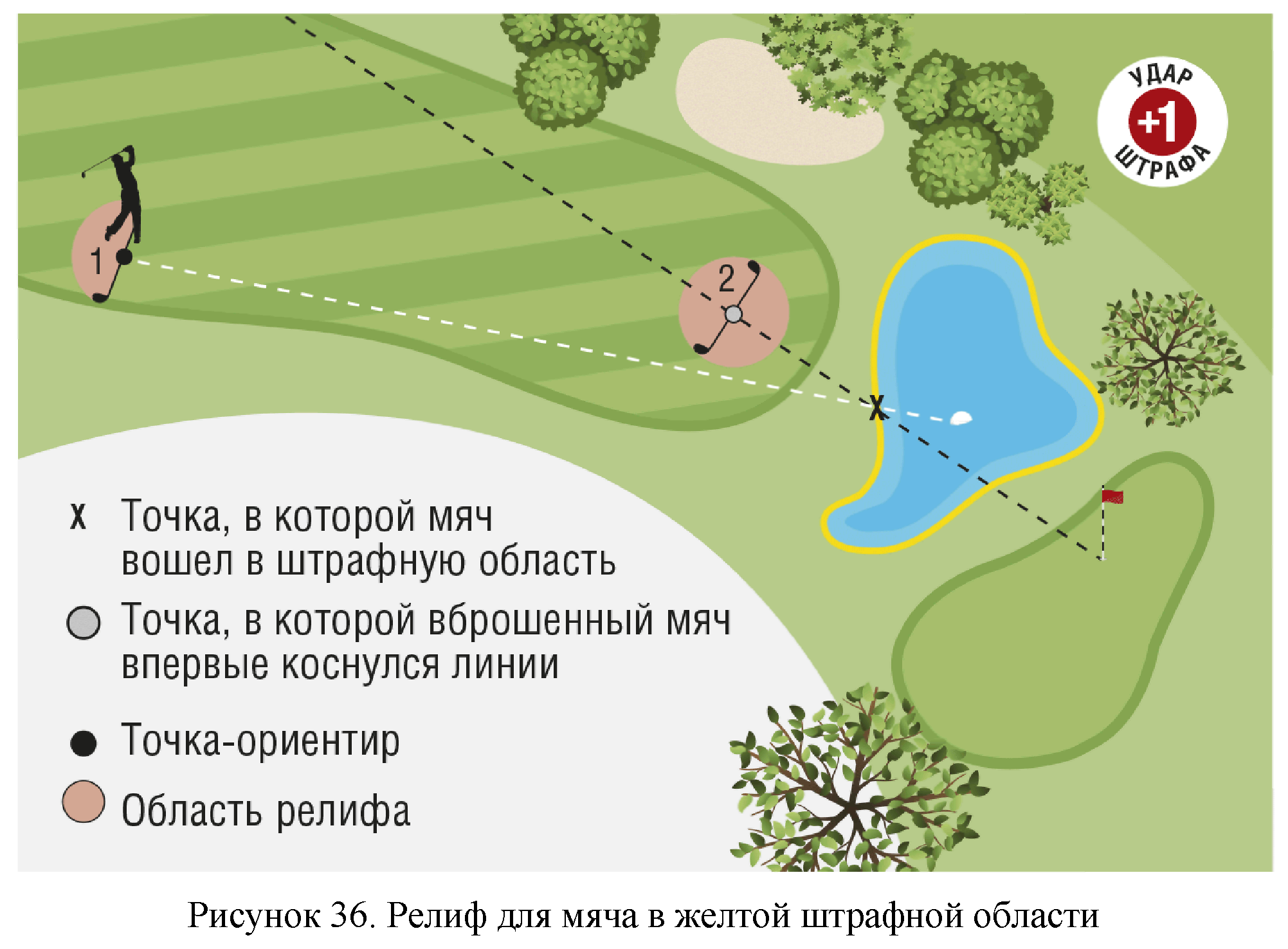 Правила вида спорта 