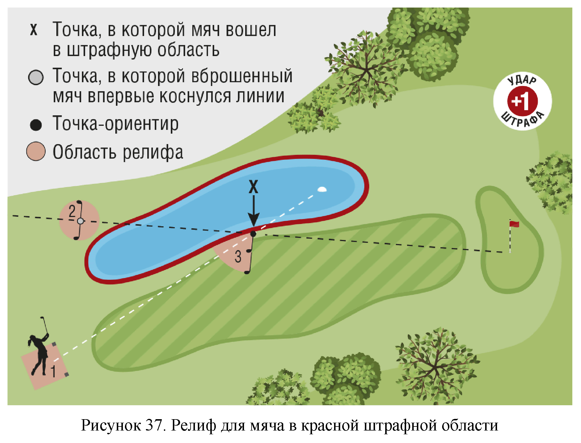 Правила вида спорта 