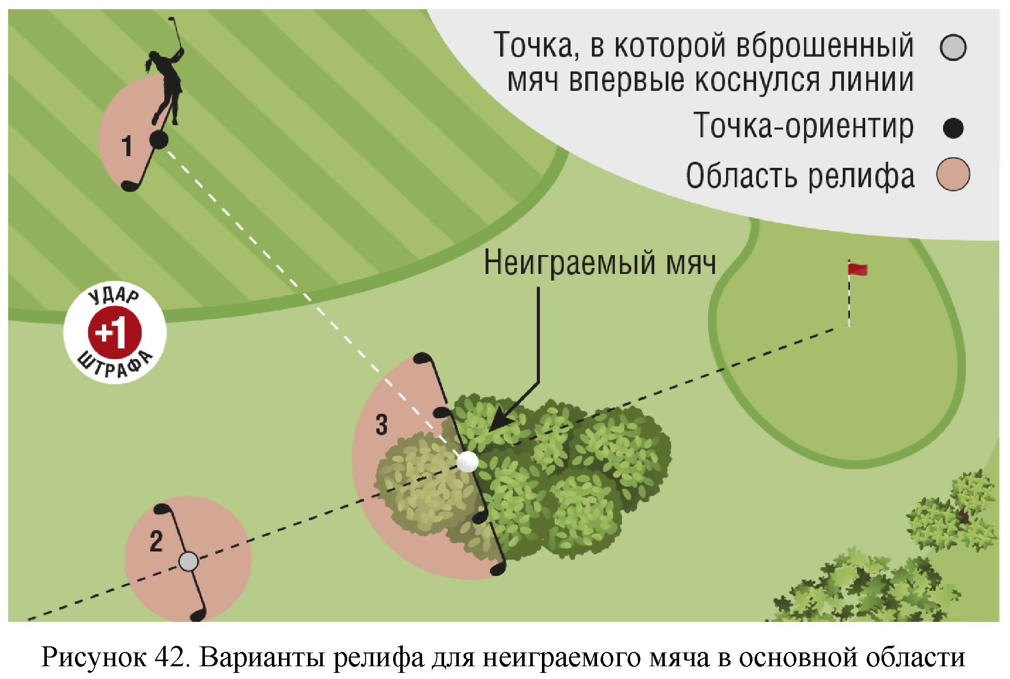 Правила вида спорта 