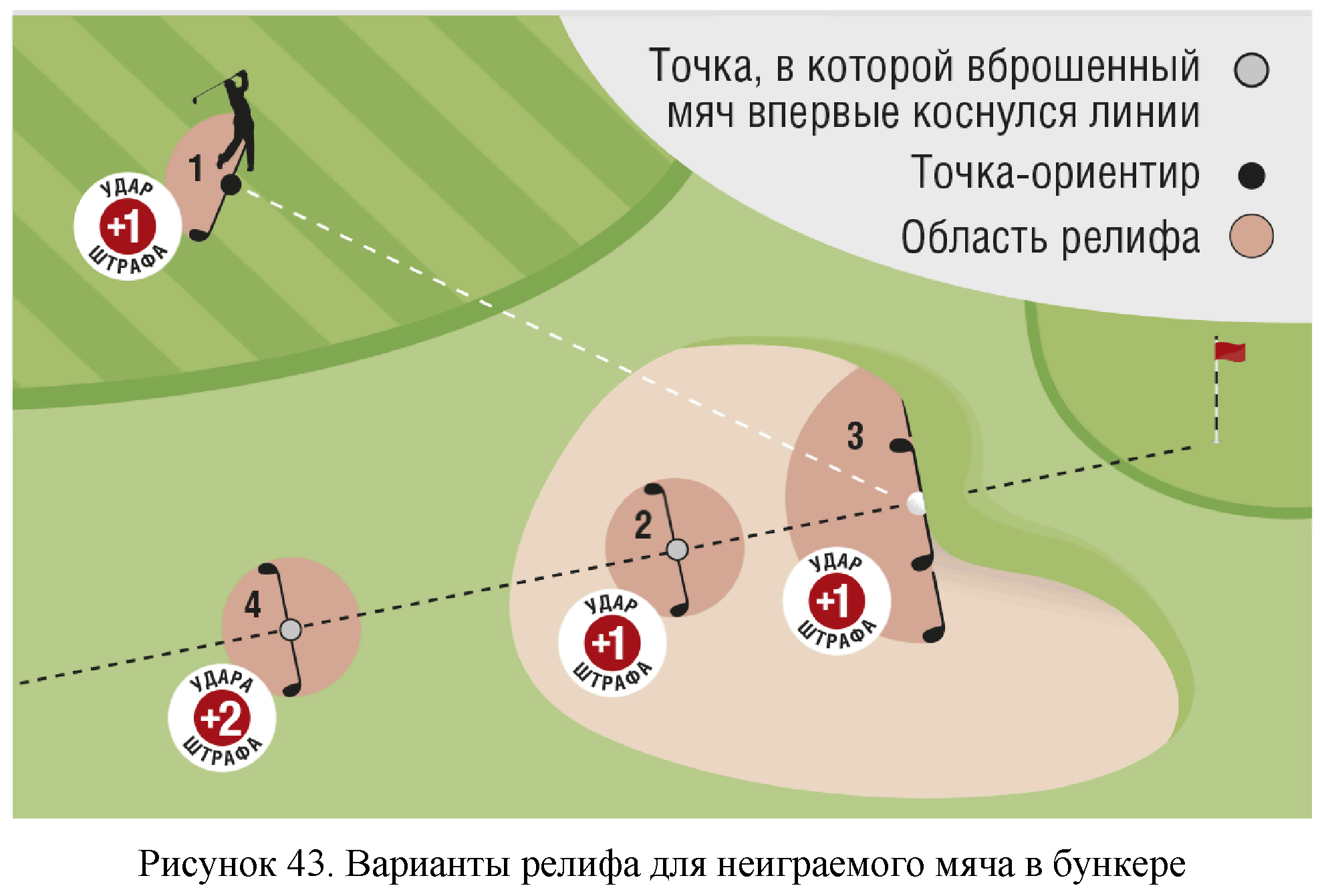 Правила вида спорта 