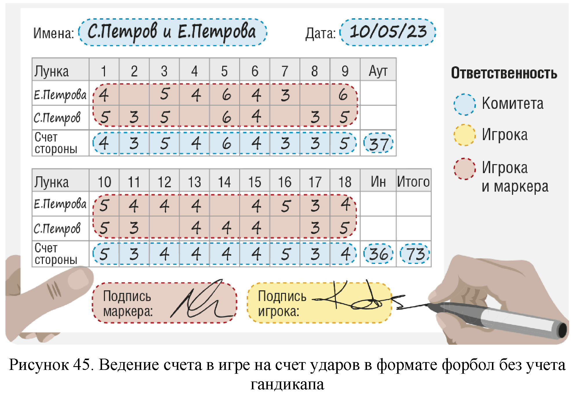 Правила вида спорта 