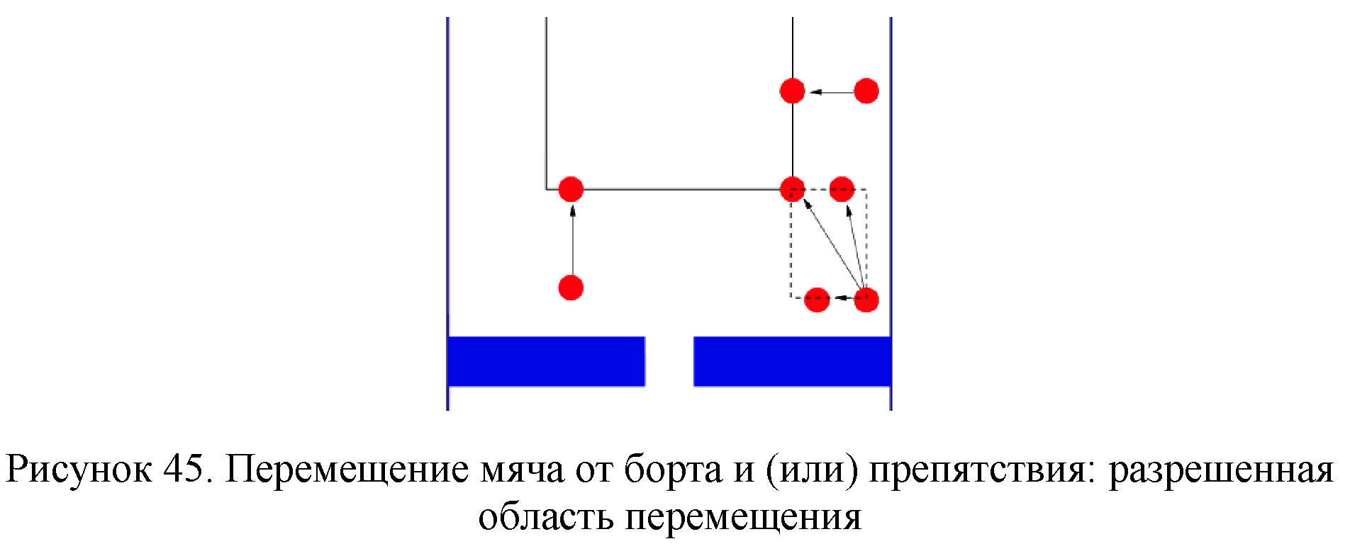 Правила вида спорта 