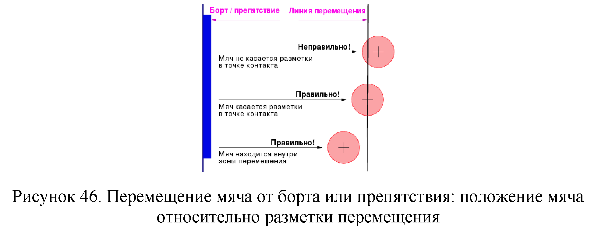 Правила вида спорта 