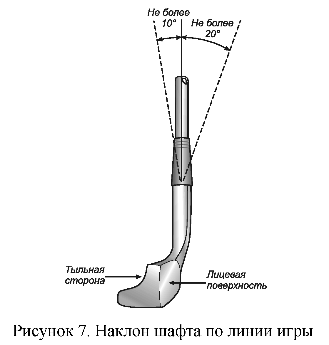 Правила вида спорта 