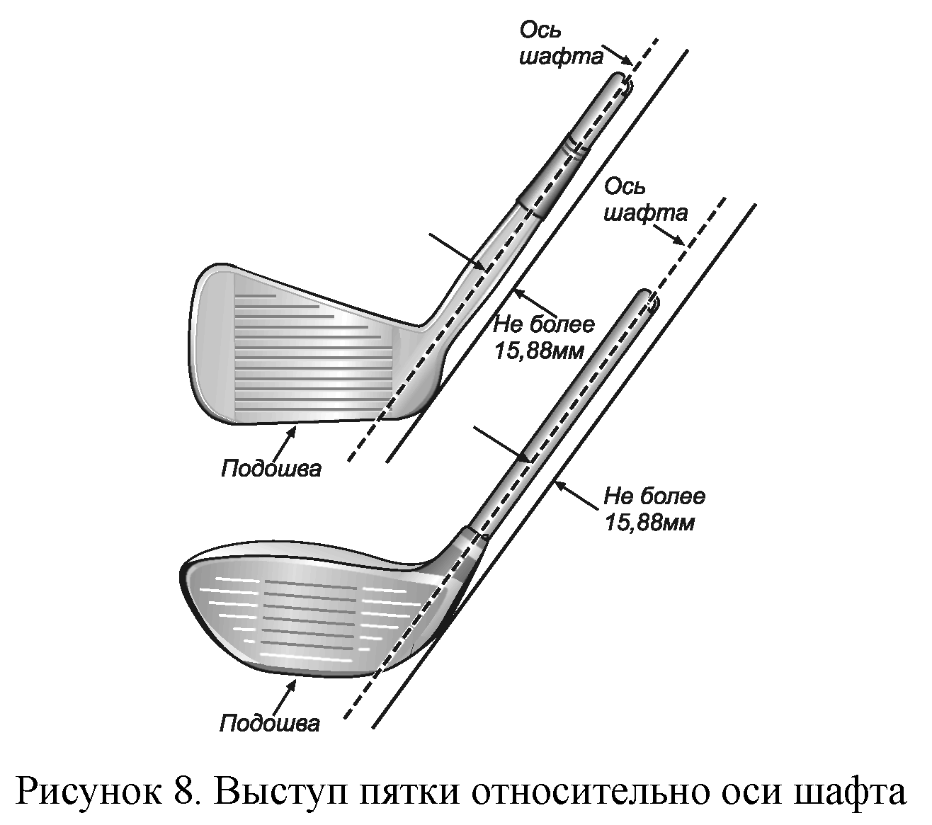 Правила вида спорта 