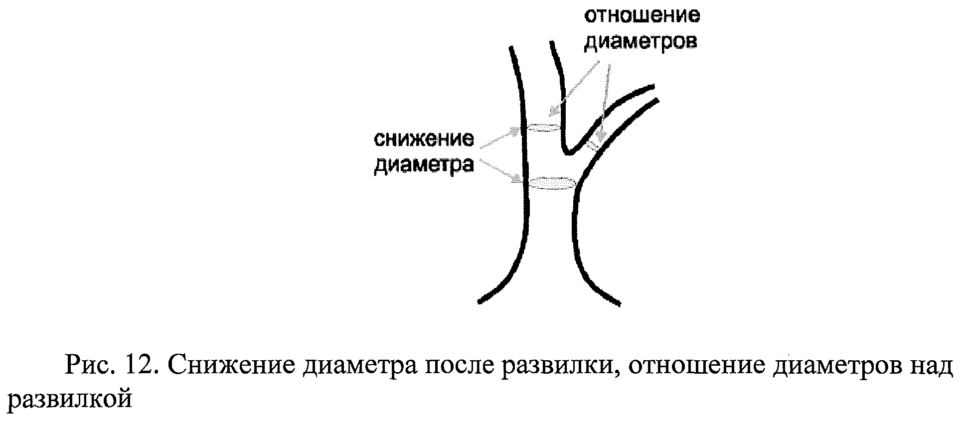 Приказ Федерального агентства лесного хозяйства от 15 марта 2018 г. N 173  